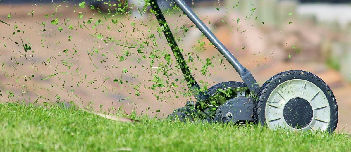 Getting Ready for Spring: A Lawn Care Checklist